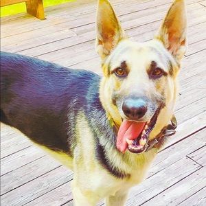 Meet your Posher, Destiny